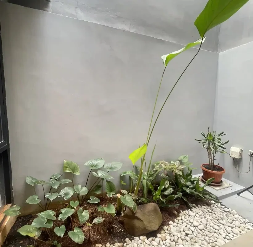 ezgif.com-optiwebp-10